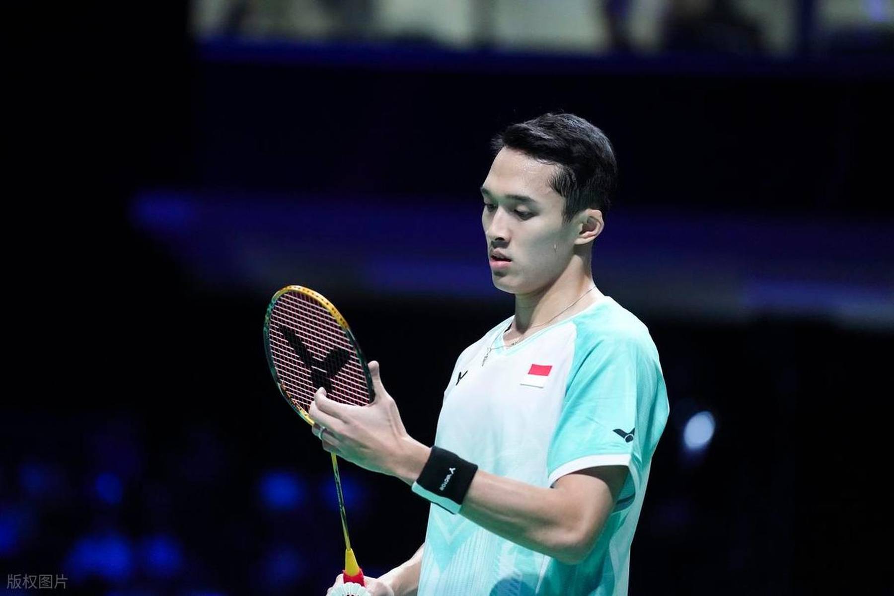 丹麦羽毛球队爆冷泰国羽毛球队，陶菲克送出助攻的简单介绍