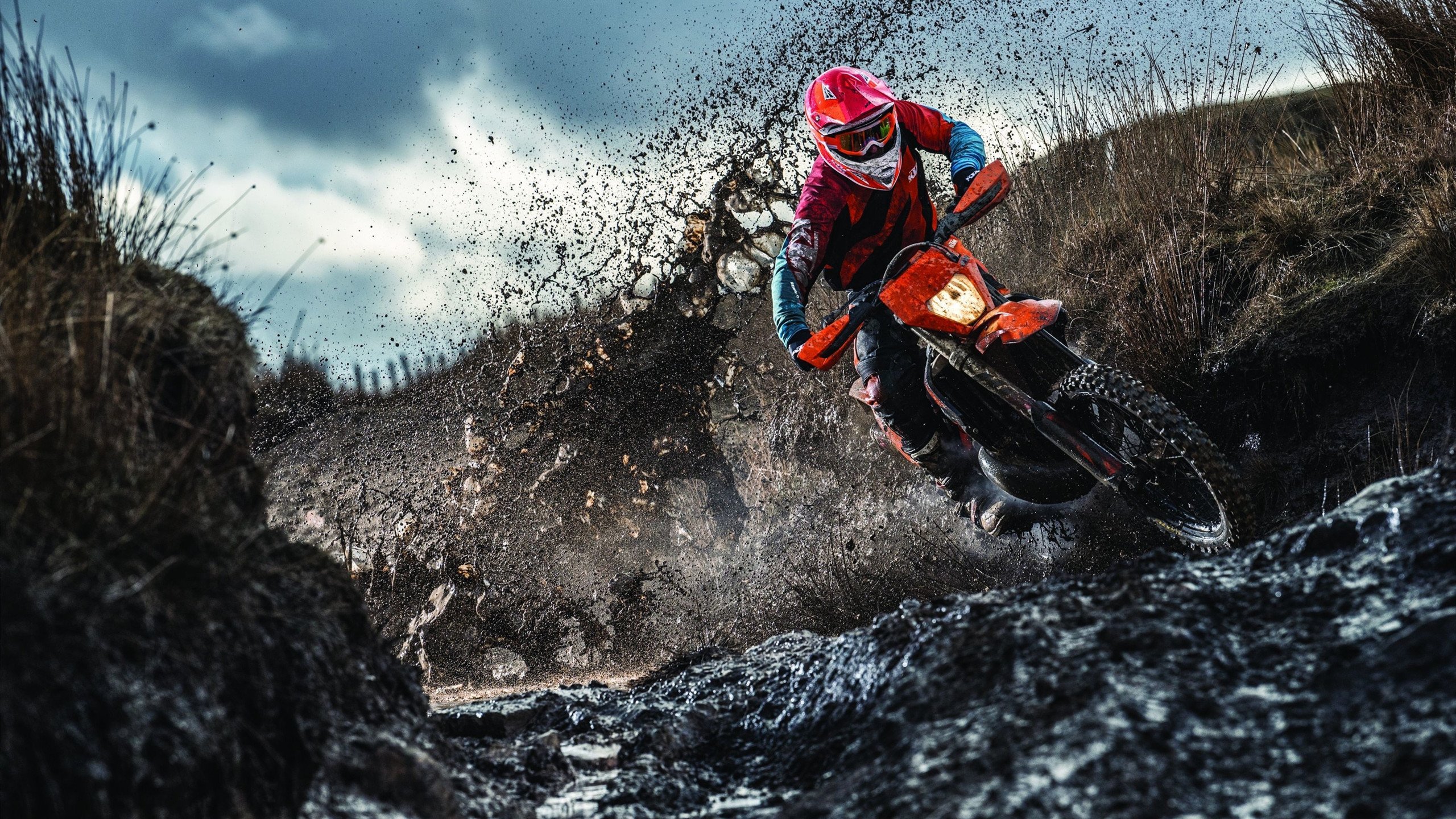 活塞节奏掌控辽宁队,乔治成为关键先生