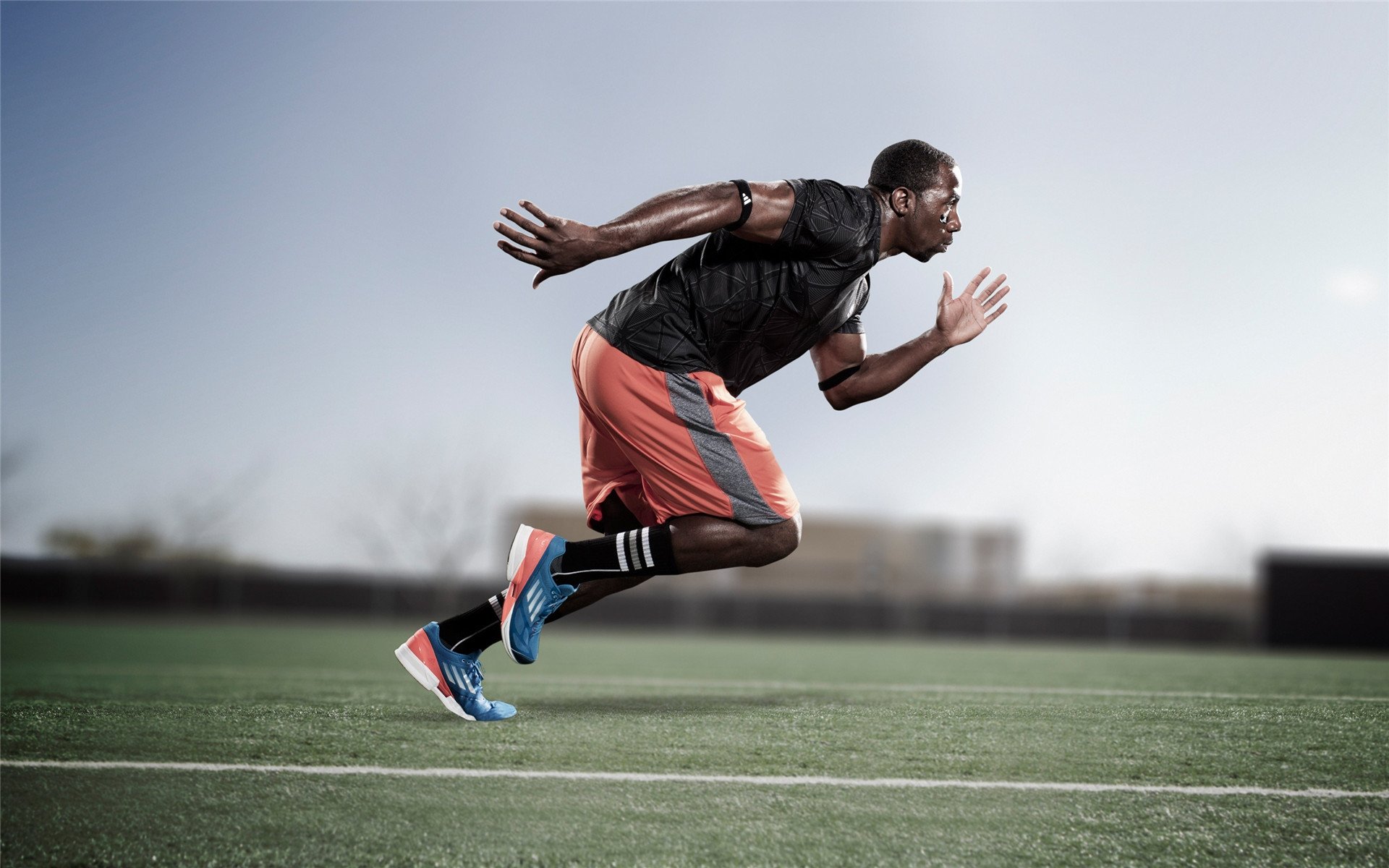 赛道上的心跳，皮亚斯特里绝杀时刻，红牛终结雷诺王朝