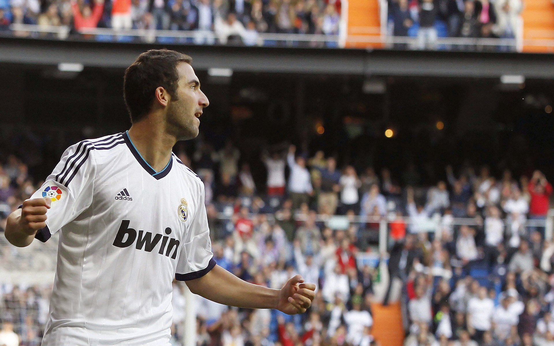 北境之王的黄昏,尼日利亚铁骑踏碎枫叶梦,齐耶赫一箭封喉定乾坤